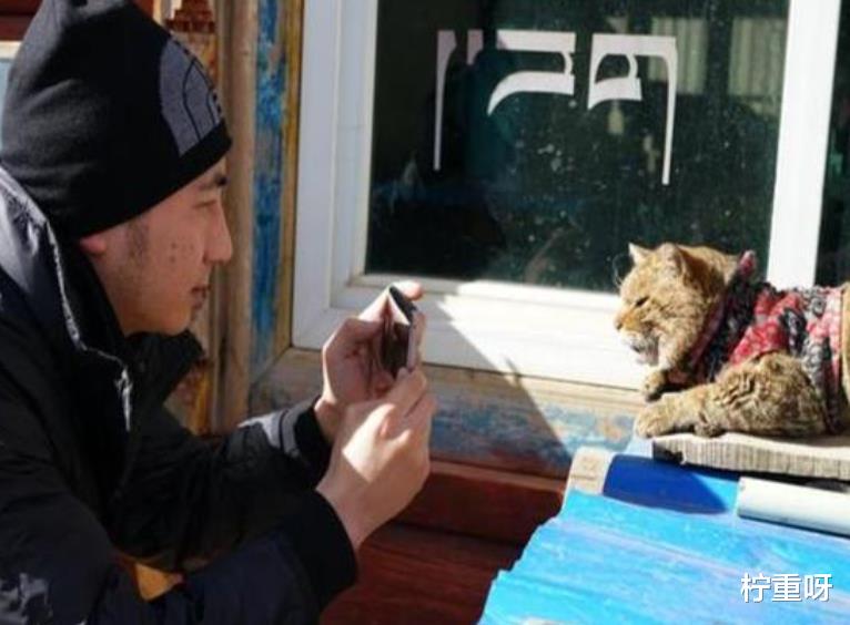 柠重呀 细思极恐!林生斌曾发自己唱歌视频,背后人物为何是某组织成员