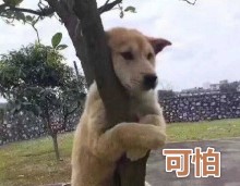 海信|电脑用几年也不用重装系统！秘诀就在这，现在使用还保持流畅