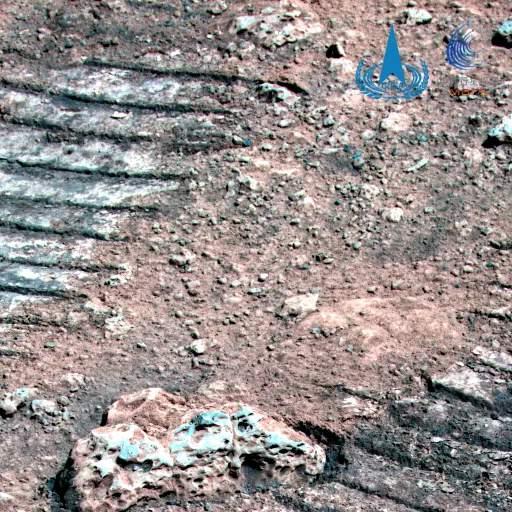 火星 火星有生命？祝融号传回真实画面，岩石上有像“霉菌”的东西？