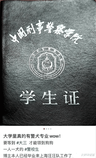 大学生|大学神仙专业火了，大三分配一只狗，大四就业不用愁，你心动了吗