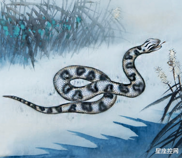 生肖|四大生肖前途一片大好，人生站上巅峰，8月事事顺心如意