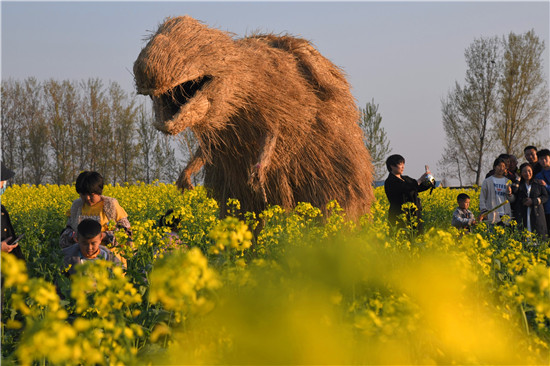 宛丘之道 商水邓城油菜花海景美人多，将实行交通管制！