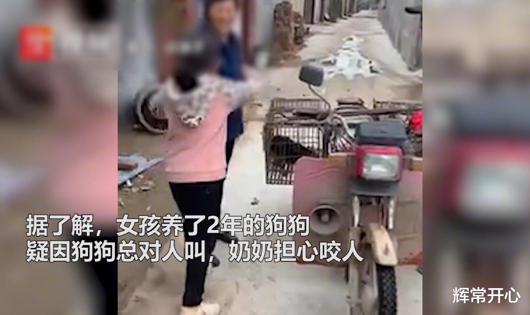 女孩 河南女孩养2年的狗被奶奶10元卖给狗贩,极力阻拦未果,结局令人心碎!