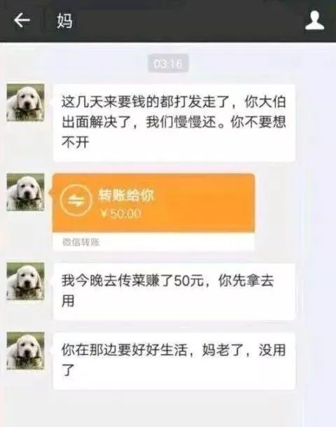Haviven聊球看 在这个被封禁 3 次的网站，我看到了人性最黑暗的一面
