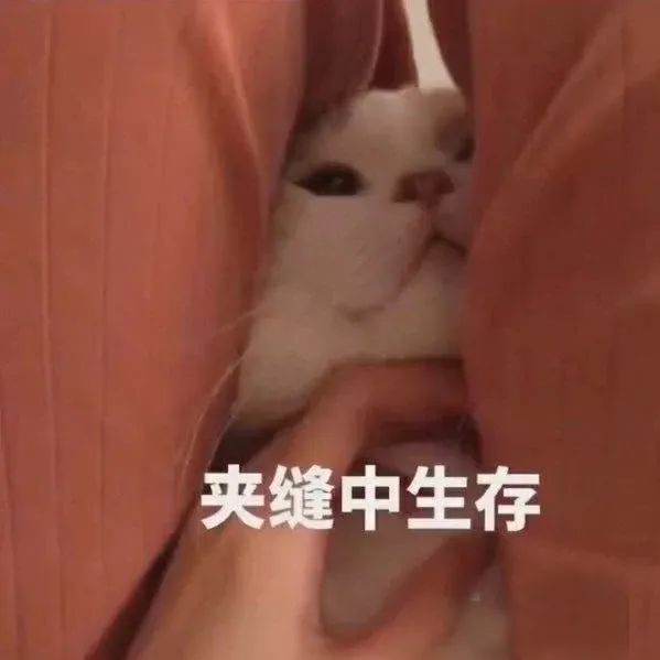 大野视家|无论什么场合季节，白T都可以给您各式各样造型带来无限时髦穿法