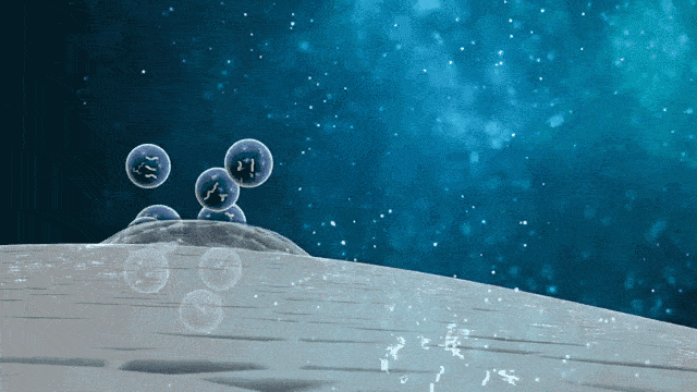 临床研究发现,干细胞外泌体在再生医学中的研究应用具有重要意义