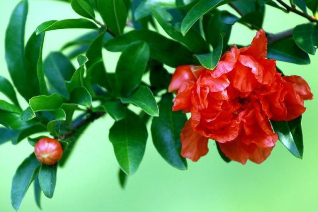 生肖|今年上半年，三生肖迎运势黄金期，财运不离不弃，日子轻松富裕！