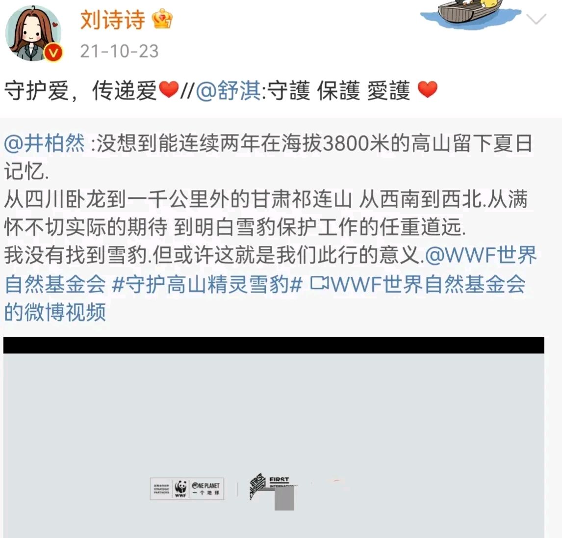 金晨|胡歌客串《完美伴侣》？成龙大哥呕心沥血？刘诗诗是宣传大使？