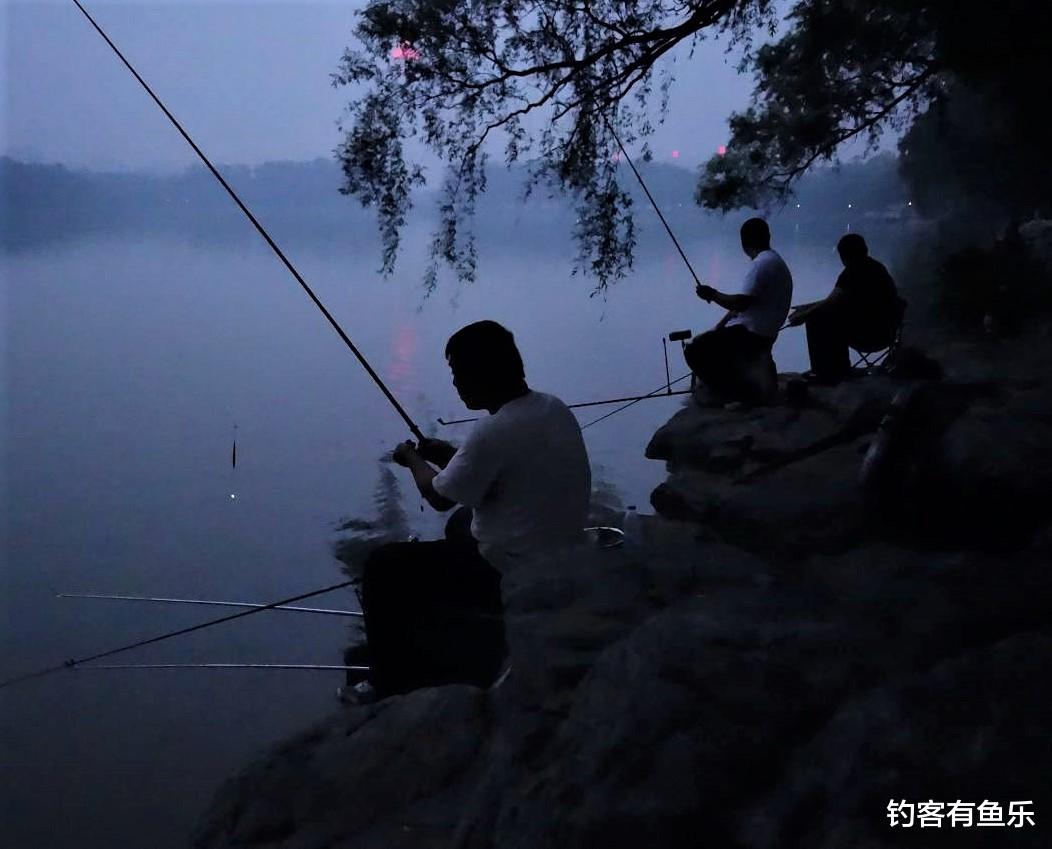 饵料|夏季夜钓有人空军，有人连竿爆护，原来有五钓五不钓
