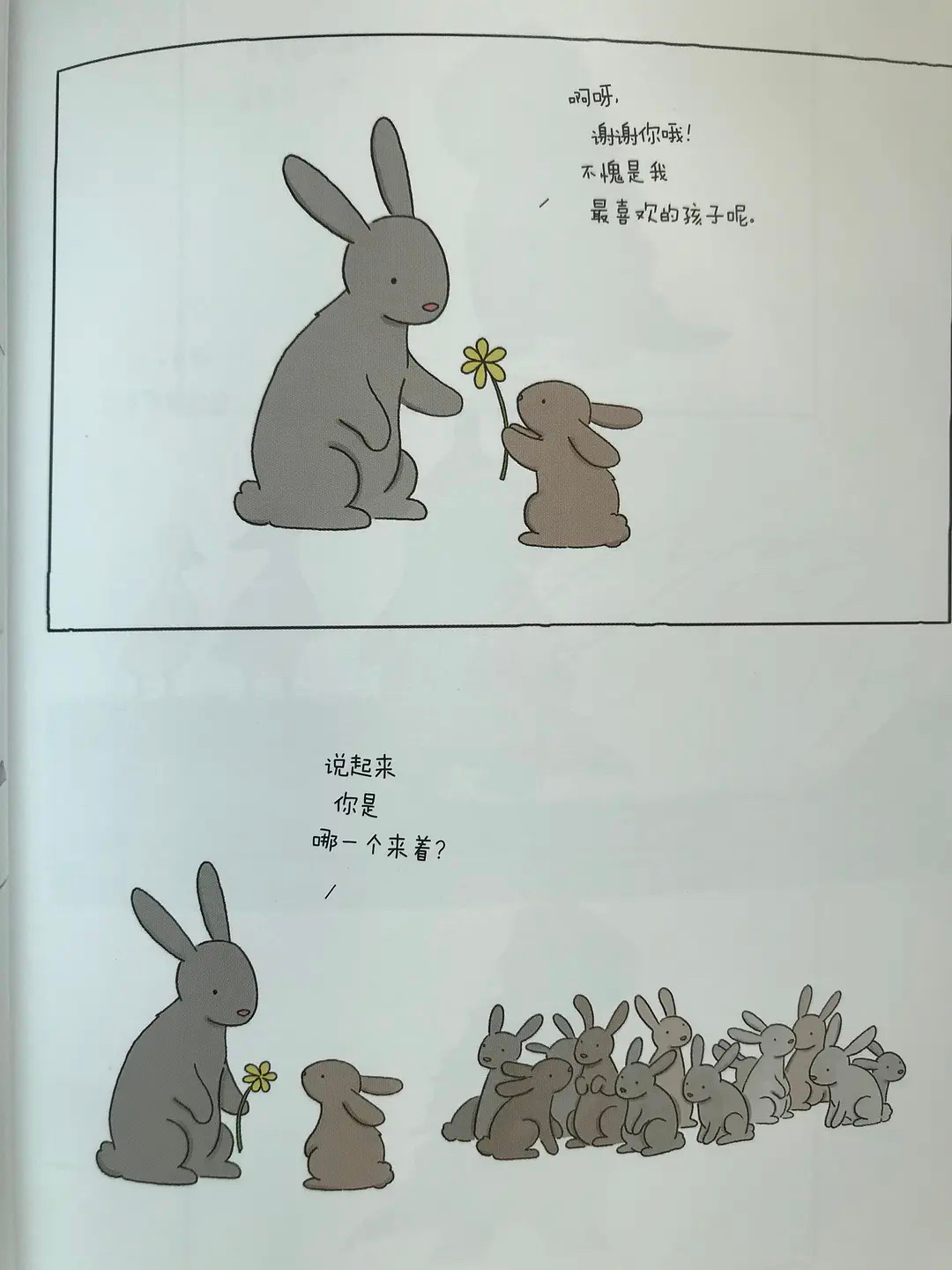 兔宝宝|画师绘制趣味小漫画，平平无奇的小动物身上，发生了有趣的故事
