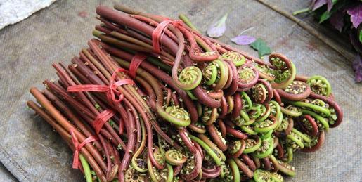 蔬菜|4种蔬菜被拉入“致癌名单”,是真的吗?辟谣:其中仅有1个是真的