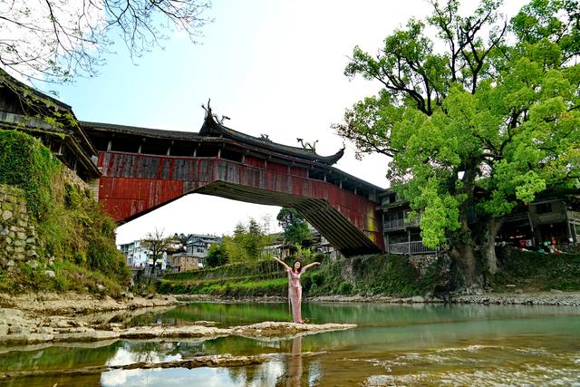 伊犁|元旦春节去泰顺，十大网红打卡点任你挑，静享一段慢时光