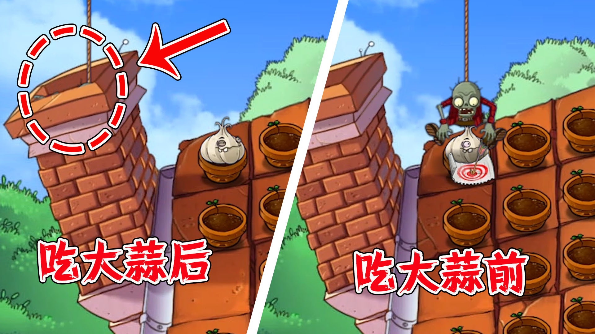 植物大战僵尸当蹦极僵尸吃到大蒜会发生什么