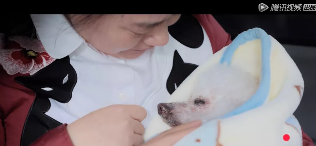 欧阳娜娜|欧阳娜娜连办3场葬礼哭上热搜，9000w网友绷不住了：这样的告别我没想过