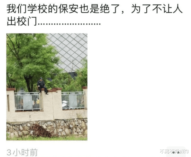 |“用普通话能叫出它名字的人，至今还没有出生呢”