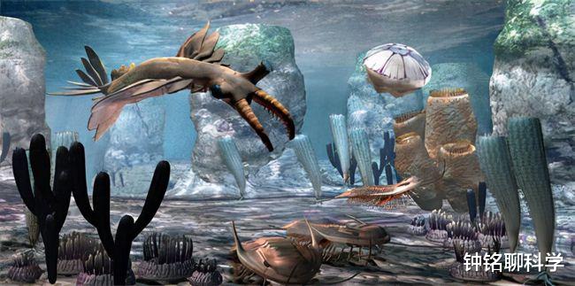 二氧化碳 人类有多渺小？如果把地球46亿年历史看作1天，人类历史不足0.1秒