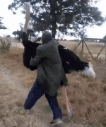 24小时的爱|妹子这么好看,怎么就没人撩她?大神评论好扎心!