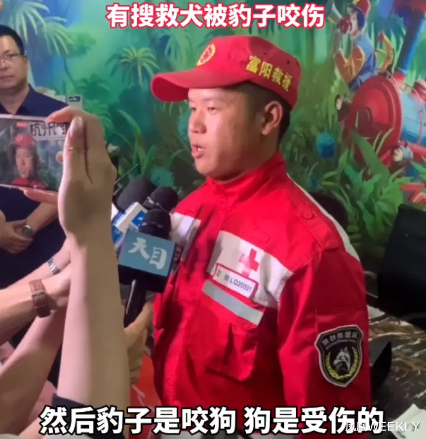 凤凰WEEKLY 杭州“瞒豹”:一场把网友当傻子的荒诞剧