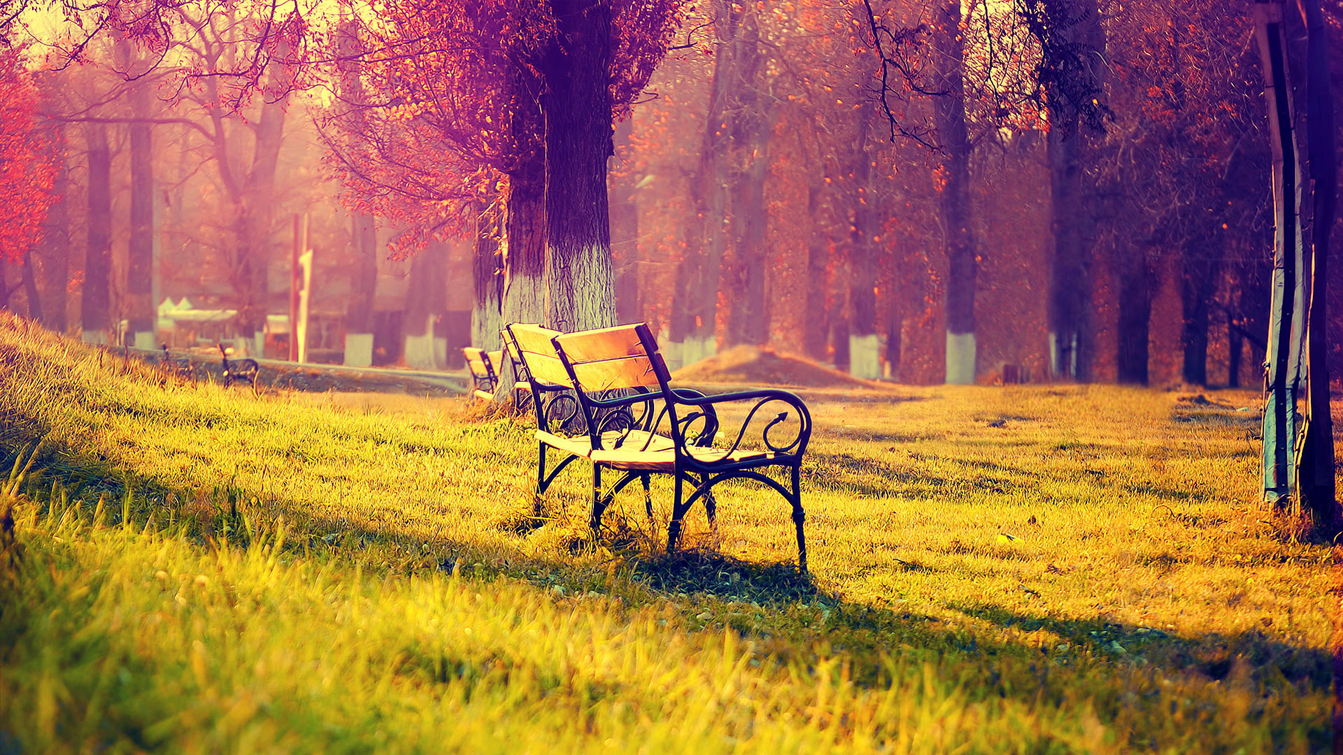 天蝎座|这三个星座拥有人生大智慧,懂得施展自己的才华,也懂得谦虚低调