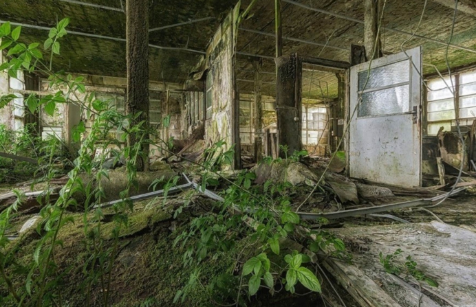 霍金 霍金预言要实现了？巴西7月罕见降雪，人类还剩多少时间？