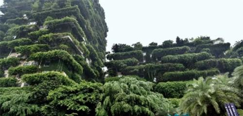 房贷|她26岁就稳坐中国女首富宝座，身价上千亿，却嫁给普通的打工族