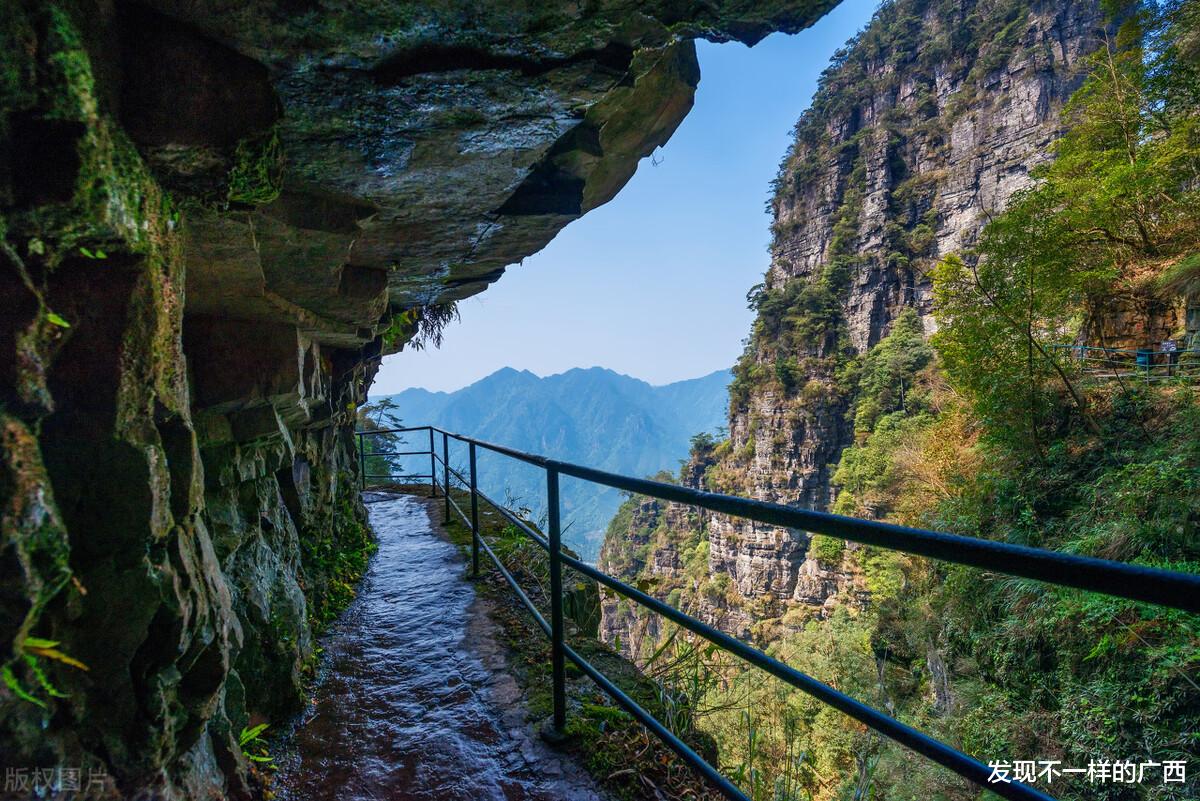 广西 2021中国最美乡村百佳县市出炉，广西有三县上榜