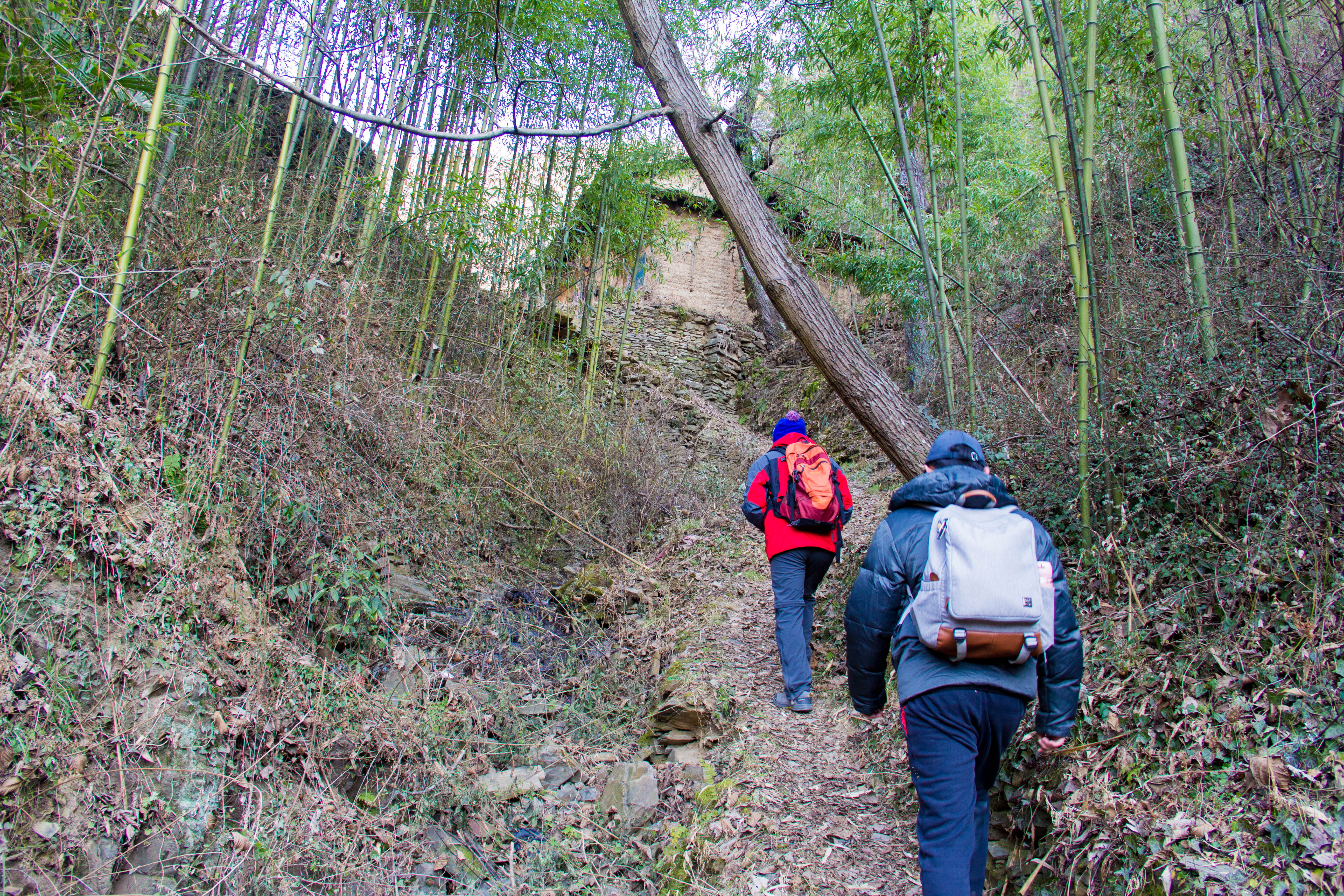 秦岭 寻访秦岭孤山沟，沟垴两户人家的景象，荒凉寂静得令人忍不住哭泣