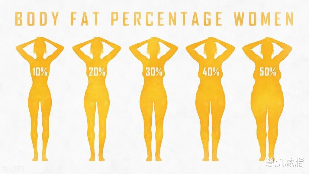 lisa|燃烧掉5斤脂肪，需要跑步多久？