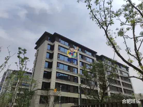 房价|正在登记的雍容雅苑怎么样？实探包河区淝河板块的招商雍荣府！