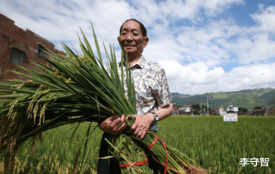 电视剧|袁隆平逝世，英名流芳千古，同名电影早已上映，电视剧也在制作中