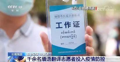 观察者网独家视频 15+5！千余名缅语翻译志愿者紧急应招