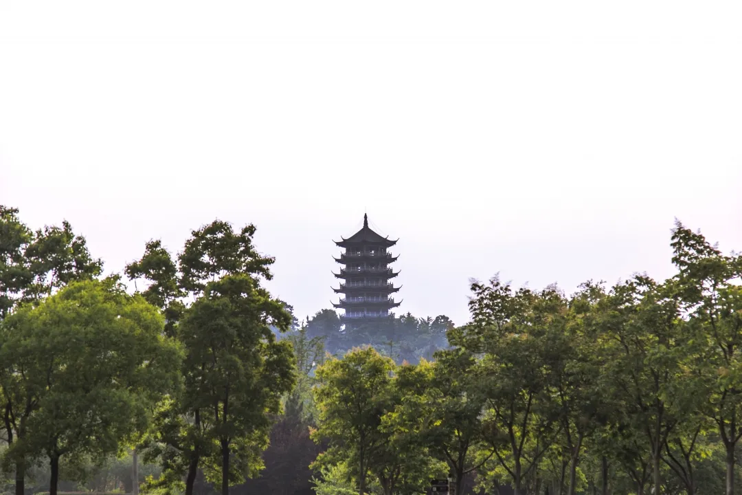 蚌埠论坛 春游江淮请您来丨一分钟，禹会区会发生什么？