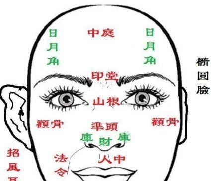 美好大千世界|面相有云“身俱日月龙虎骨,平生非富即贵”,龙虎骨究竟长哪样?