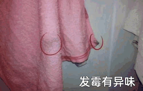 畅谈装修|毛巾、筷子、枕头等日用品，都有使用周期的，你知道多久换一次吗