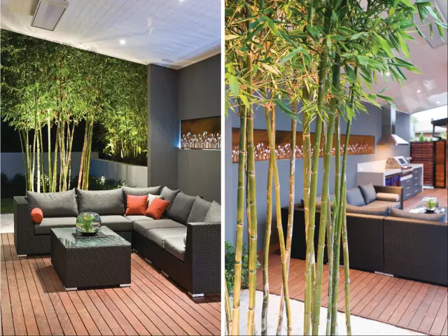 25个现代庭院景观设计方案，超养眼！