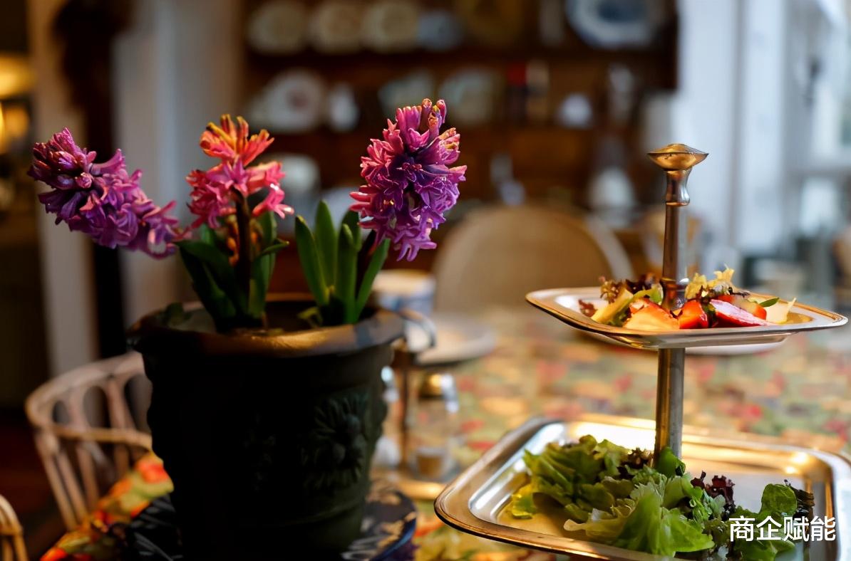 商企赋能 退休阿姨的养老生活，把生活过成诗，这才是真正的“芳华”