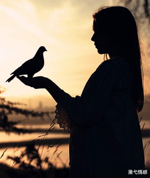 萧弋情感 有一种强大的力量叫安静的力量