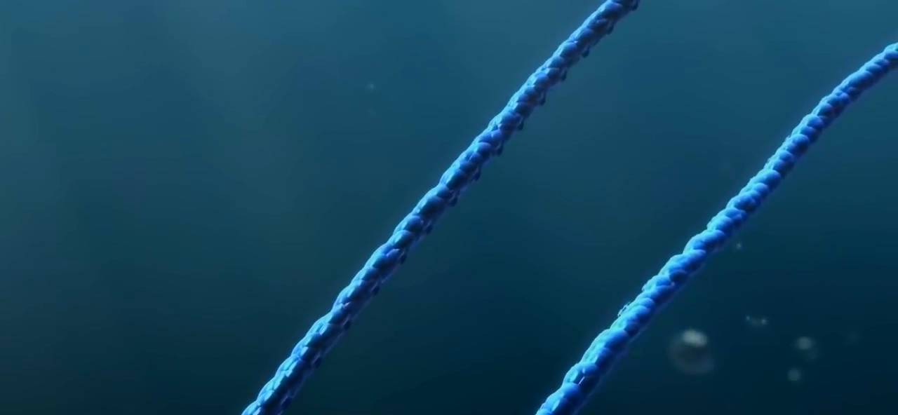 基因 地球与人类的前世今生,以及未来,你了解吗?