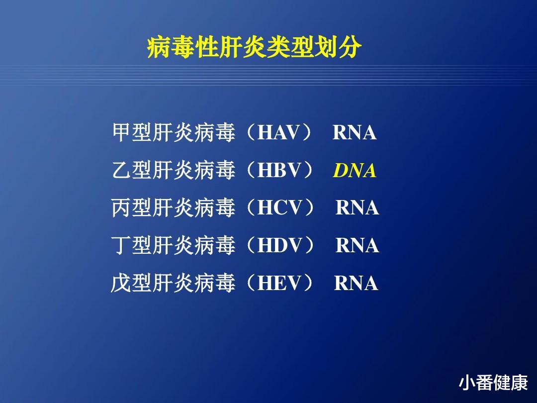 宇航员 乙肝新药早期研发，犹如大海捞针，多方向探索是技术进步的表现