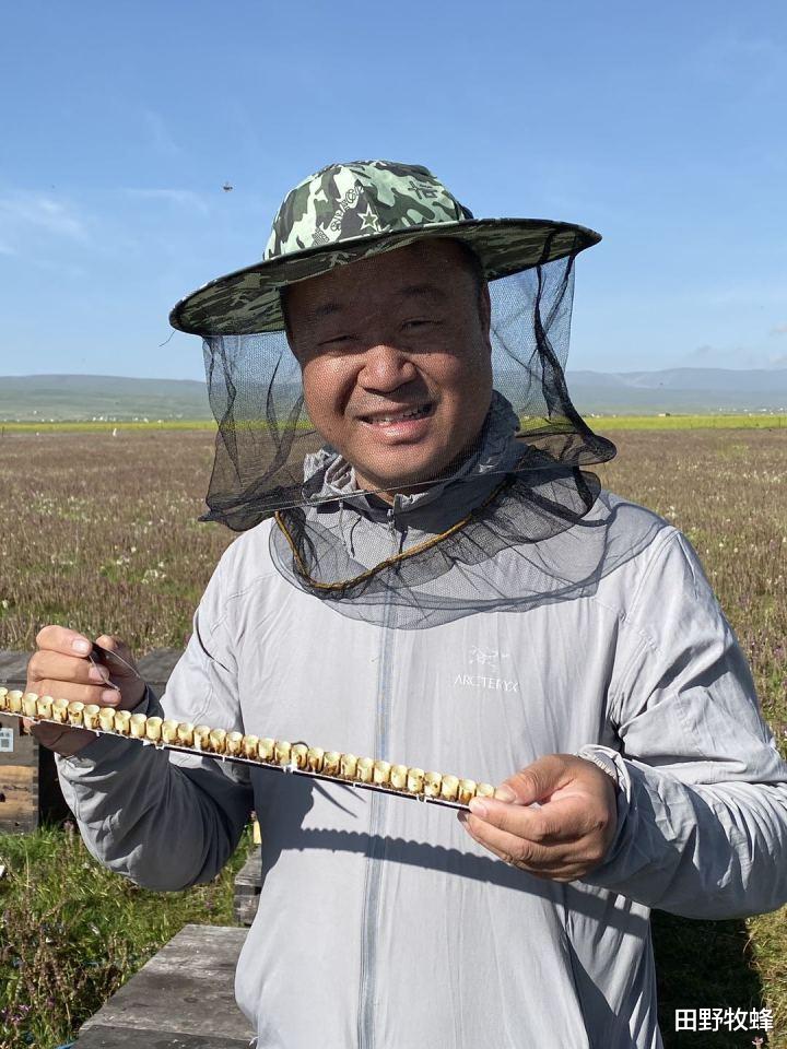 田野牧蜂|蜂王浆夏天怎么保存? 蜂王浆怎么放?