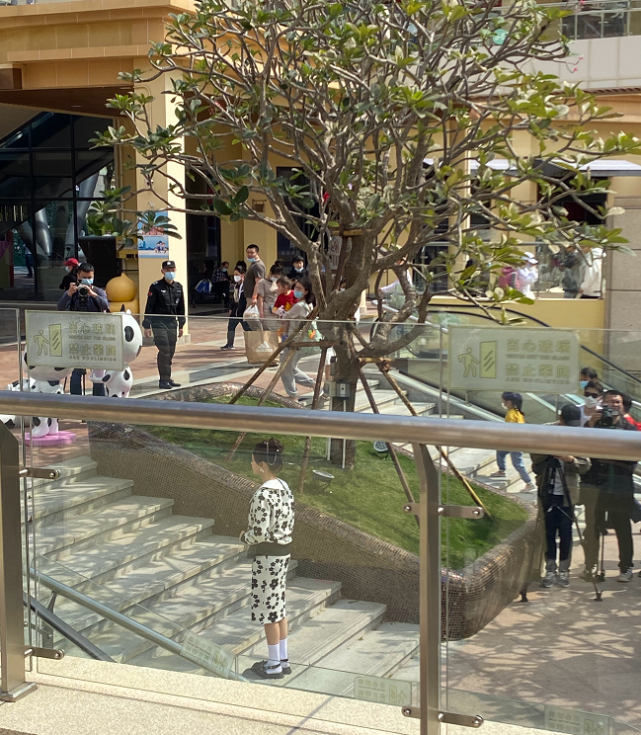 杨超越|杨超越逛街被偶遇，路人忙拍照忘记修图，生图与自拍照判若两人！