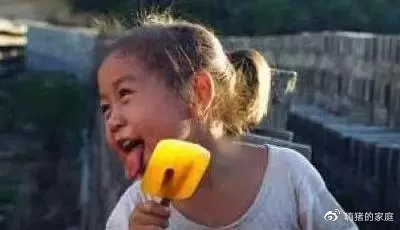 嗨猪的家庭|看完这组30年前的暑假偷拍照,我悄悄换掉了儿子的假期计划表