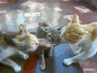 学姐说育儿|“女友在健身房工作，女教练订做的工作服，怪不得一节课800”，哈哈哈哈～