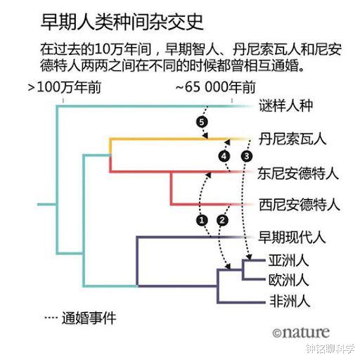 离奇!比利时女子宣称与黑猩猩相爱,却被迫分手,动物也懂爱情?