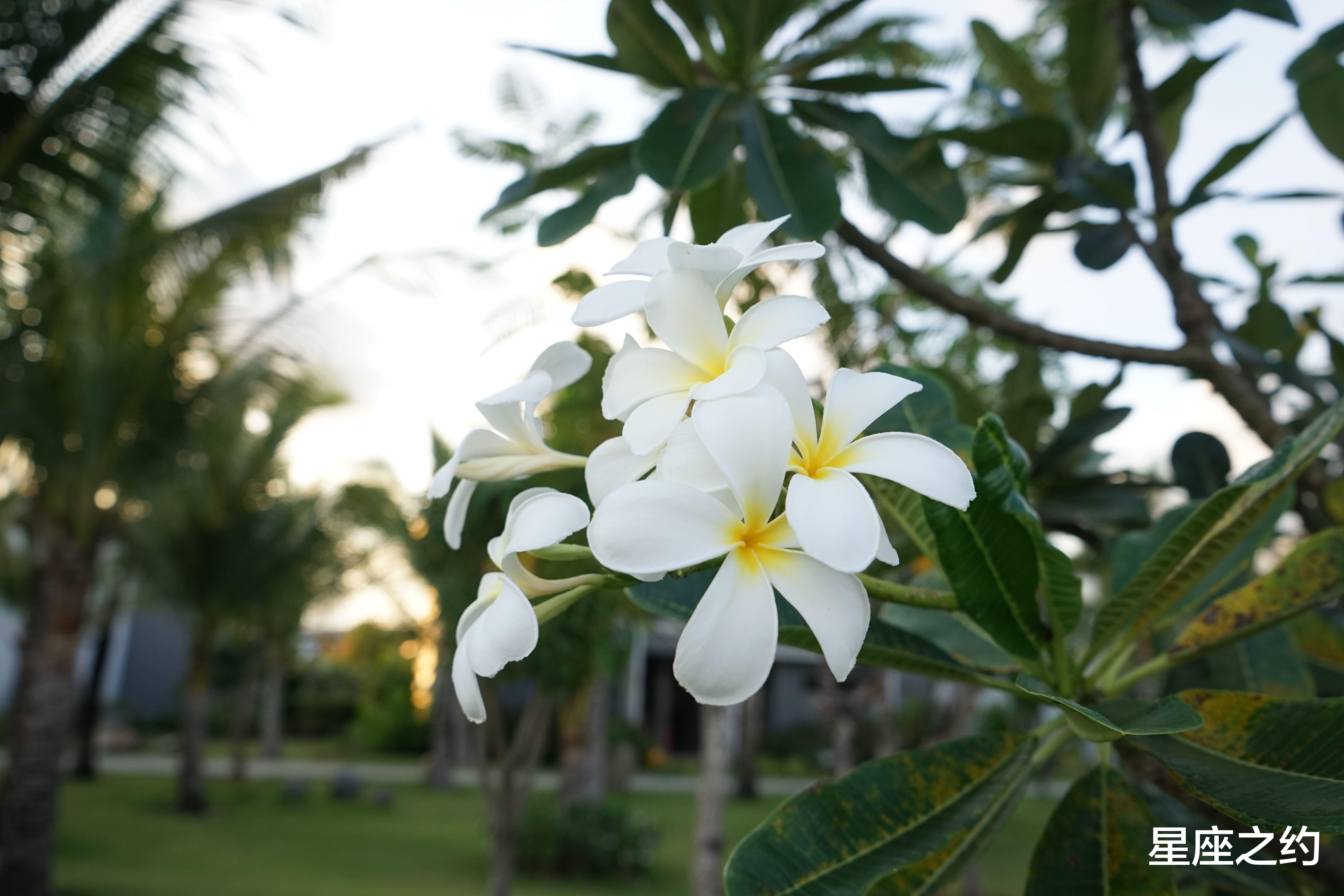 白羊座|2月25日-3月1日星座运势：白羊座保持冷静，水瓶座头脑灵活
