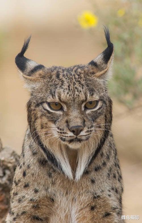  25张活久未见的照片，炸弹在几公里外爆炸，冲击波几秒钟就到眼前