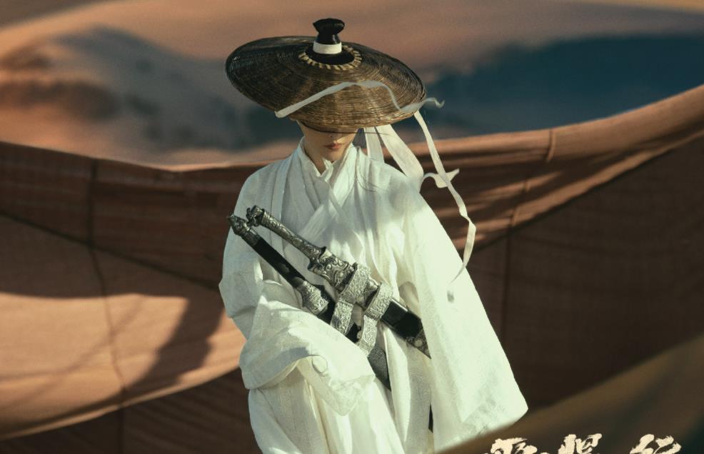 雪中悍刀行|《雪中悍刀行》5个绝佳选角，胡军、张天爱上榜，第一名竟是他？