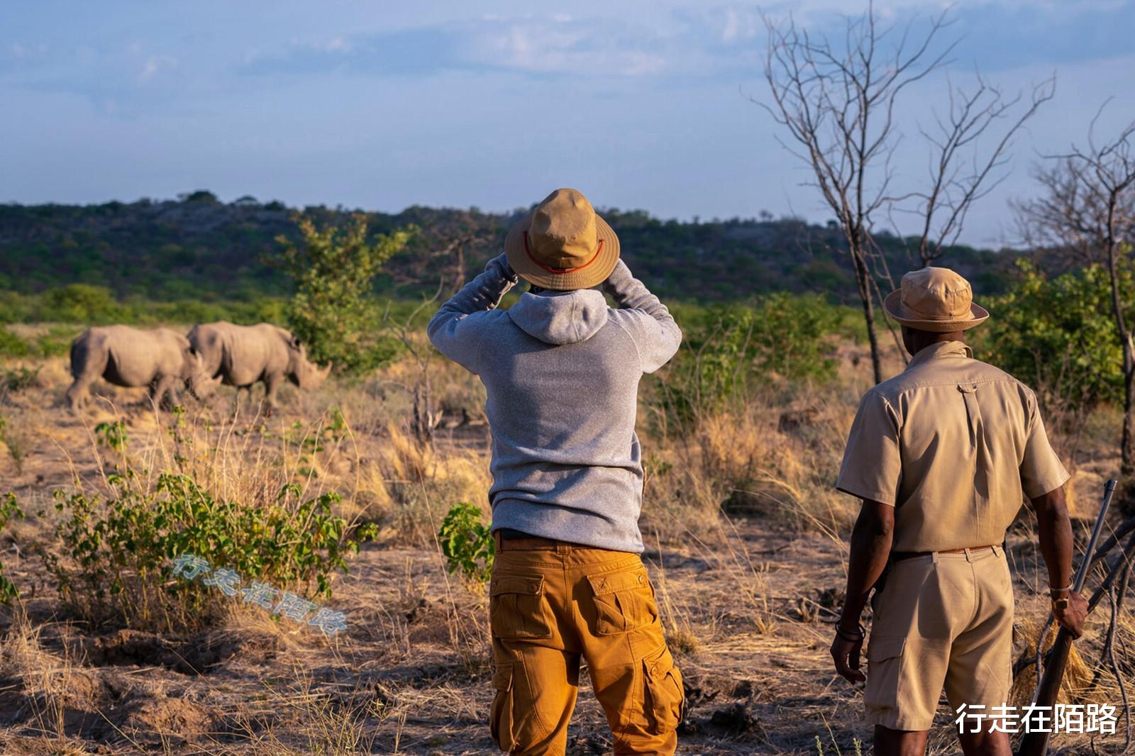 火箭队 “平底锅计划”：中国人远赴非洲治沙，中国游客被特殊照顾