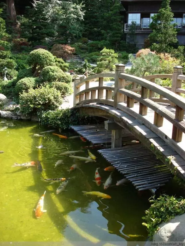 精选 | 32个别墅花园养鱼池设计方案