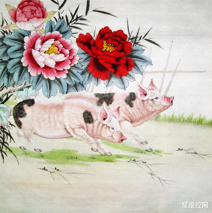 生肖|哪几个生肖，直觉敏锐，善于利用资源创造价值，不容易背黑锅